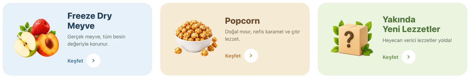 Three discovery cards on the Tam homepage: Freeze Dry Meyve (freeze-dried fruit), Popcorn (natural corn with caramel) and Yakında Yeni Lezzetler (new flavors coming soon).