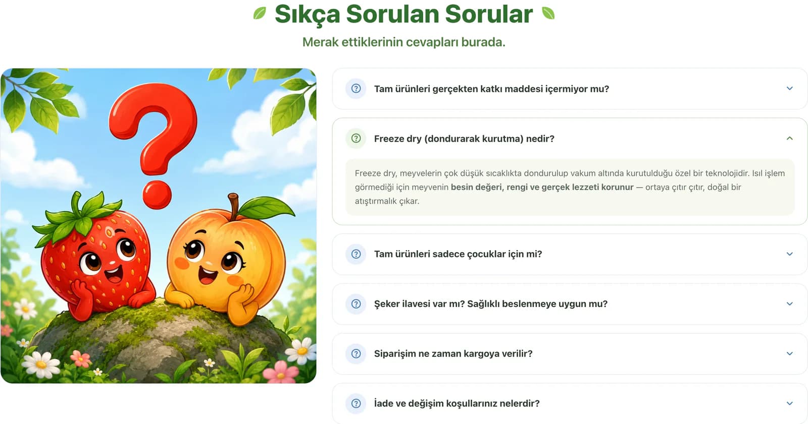 The FAQ section on a Tam product page: strawberry and peach characters under a big question mark on the left, and questions on additives, freeze drying, who the snacks are for, added sugar, shipping and returns on the right, with the freeze-dry answer expanded.