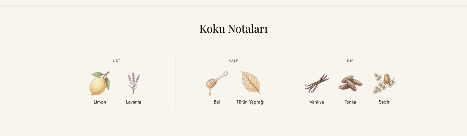 The Koku Notaları (scent notes) section on the King Mizrahi Dark Blue page: lemon and lavender on top, honey and tobacco leaf at the heart, vanilla, tonka and cedar at the base, each note with its own illustration.